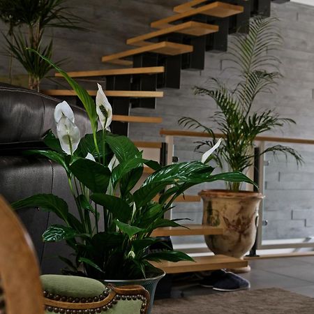 Superbe Appartement Au Coeur Du Jura Champagnole Extérieur photo